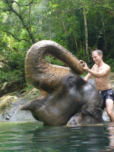 Swimming with Elephants in Thailand Bucket List